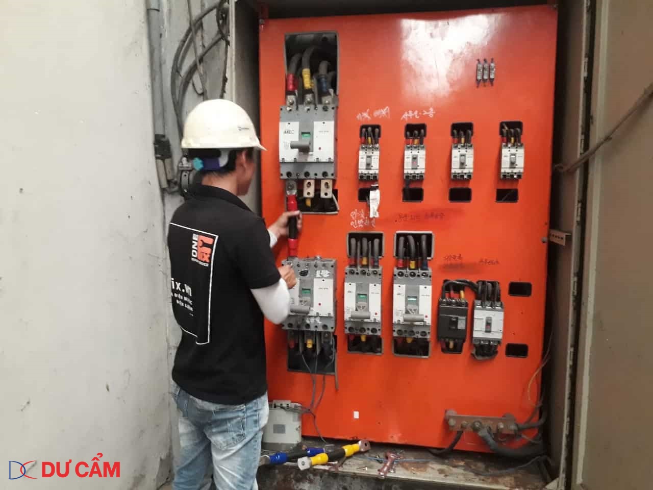 Chịu được sự khắc nghiệt của môi trường